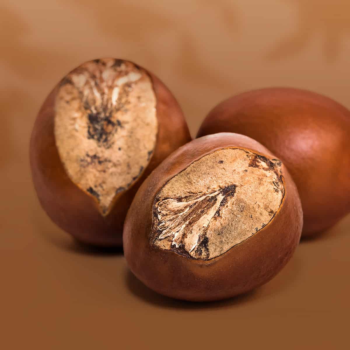 Duo Shampoing & Soin Repigmentant Ombre Naturelle Mulato - Image 5