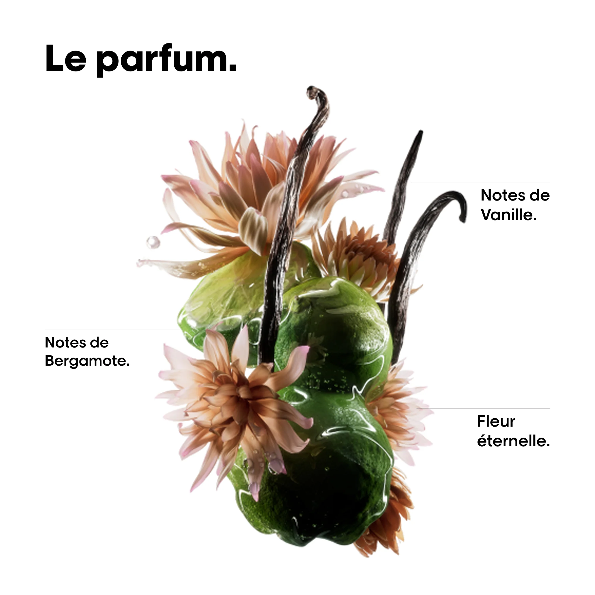 Huile Bi-Phase Absolut Repair Molecular L'Oréal Professionnel - Image 6