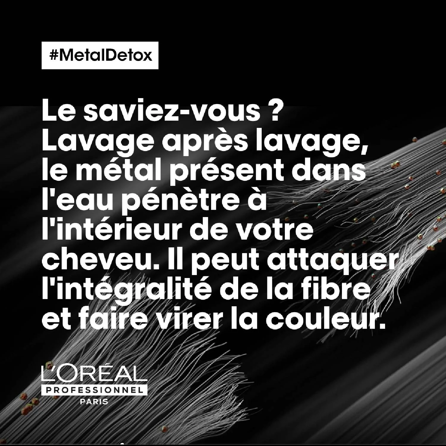 Pack Salon Metal Detox L'Oréal Professionnel - Image 2